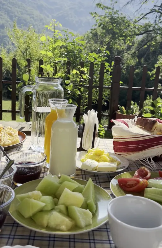 Breakfast outdoors: melon, cheese, jam, juice and bread by the garden fence